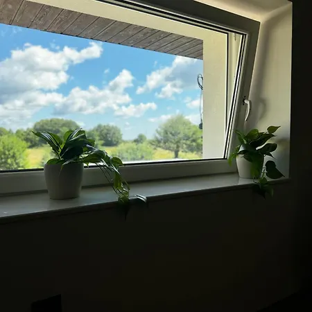 Aparthotel Walowa 7 3*