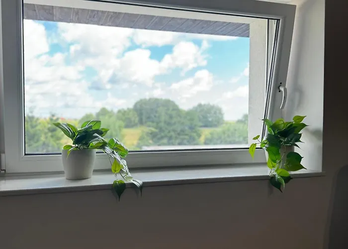 Walowa 7 Ξενοδοχείο με διαμερίσματα