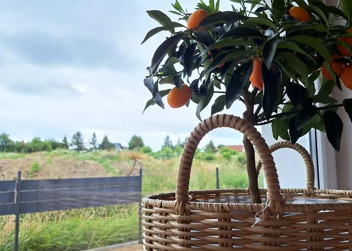 Walowa 7 Ξενοδοχείο με διαμερίσματα